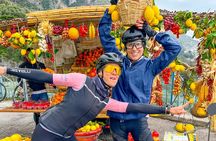 Sorrento Coast: cycle with us! 