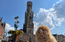 Private Full-Day Trip to Bruges&Ghent from Brussels with tastings