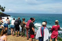 Tours for cruise ship travelers in São Tomé