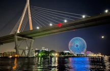 Takoyaki Cooking Experience in Osaka Bay by Cruise