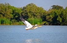  5 Day Addis,Bahir Dar,Gondar,Simien Mountains and Lalibela Tours