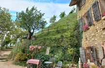 Prosecco Hills Wine and Food Tour from Venice and Treviso