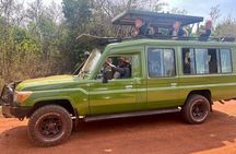  1 Day Akagera National Park Private Safari