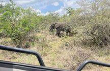  1 Day Akagera National Park Private Safari