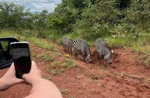  1 Day Akagera National Park Private Safari