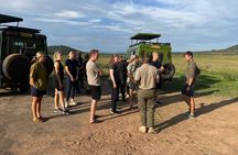  1 Day Akagera National Park Private Safari