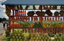 Private guided tour to Andasibe for 2 days