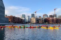3-Hour Vattkørt Beginner Kayak Course on Oslo Fjord