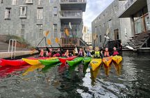 3-Hour Vattkørt Beginner Kayak Course on Oslo Fjord