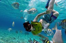 Cozumel by transparent boat and snorkeling in the sky with lunch.