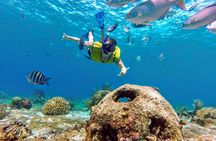 Cozumel by transparent boat and snorkeling in the sky with lunch.