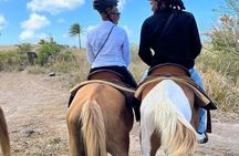 Horseback Riding, A Scenic Escape