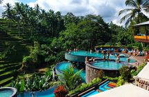 Ubud Cretya Tours and Happy Swing 