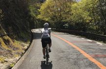 Private & Customized - Kansai Cycle tour