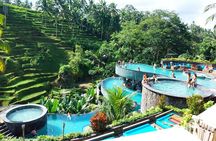 Ubud Tours and Cretya Day Club Pool 