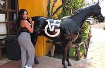 Private Full-Day Trip to Chapala and Ajijic from Guadalajara