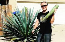 Private Tour La Fortaleza Distillery and visit to Tequila