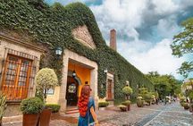 Private Full-Day Tour to Tequila Visiting Tequilera José Cuervo