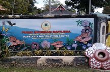 Full Day JomTour! Memorable Experience in Kota Kinabalu, Sabah