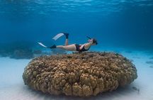 Raya Island / Mai Ton Island Private Boat Tour