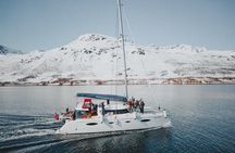 Arctic Fjordcruise & Safari in Tromso with Luxury Catamaran 