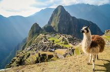 Cusco: Machu Picchu Full Day - Tickets & Train