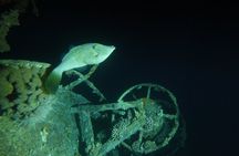 2 Hour Private Night Diving in the Red Sea of Aqaba