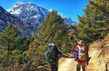 11-Days Annapurna Private Circuit Trekking
