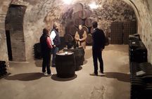 Independent visit DE cellar and tasting in the vineyards