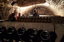 Independent visit DE cellar and tasting in the vineyards