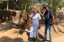 Hatta tour with lunch (Wadi - Dam & Lake)