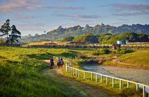 Kuranda Half Day Including Horse Trail Ride and Petting Zoo