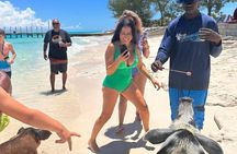 Nassau, Private Swimming Pig, Island Hopping, Snorkeling, Turtles