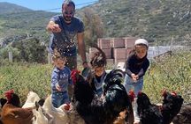 Naxos Perivoli Farm Experience & Wood-fire Cooking Class
