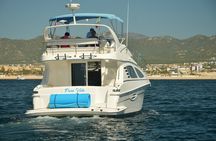 Pura Vida Yacht 42 FT with all inclusive service in Cabo