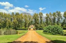 Wine tasting in Cape Winelands Tour 