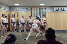 Morning Sumo Practice Viewing in Tokyo
