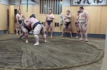 Morning Sumo Practice Viewing in Tokyo
