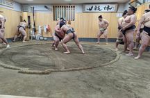 Morning Sumo Practice Viewing in Tokyo