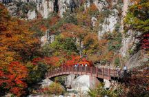 Mt. Seoraksan National Park Autumn Foliage Day Tour from Seoul