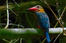 Nam Cat Tien National Park 2 Days 1 Night - Private Tour