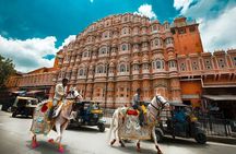 Full-day Jaipur Private Sightseeing Tour by Car with Guide