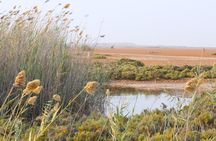 Private Tour To Imlili Natural And Human History