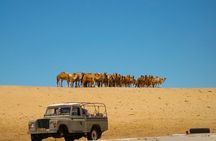 Private Tour To Imlili Natural And Human History