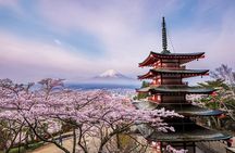 Mount Fuji & Hokane Lakes with English-speaking Guide