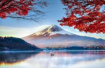 Mount Fuji & Hokane Lakes with English-speaking Guide