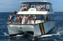 Whale Watching Mirissa with (WWC)