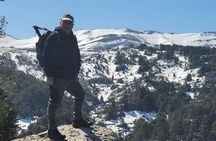 PRIVATE Hiking Day Trip in the Shouf Fabulous Cedars Forest