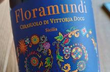 Palermo Food and Drink Walking Tour on rooftops, prime locations