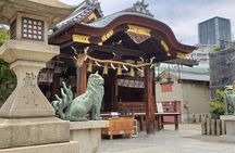 Tour and Food Tour in Osaka with Goverment Guide All incluided